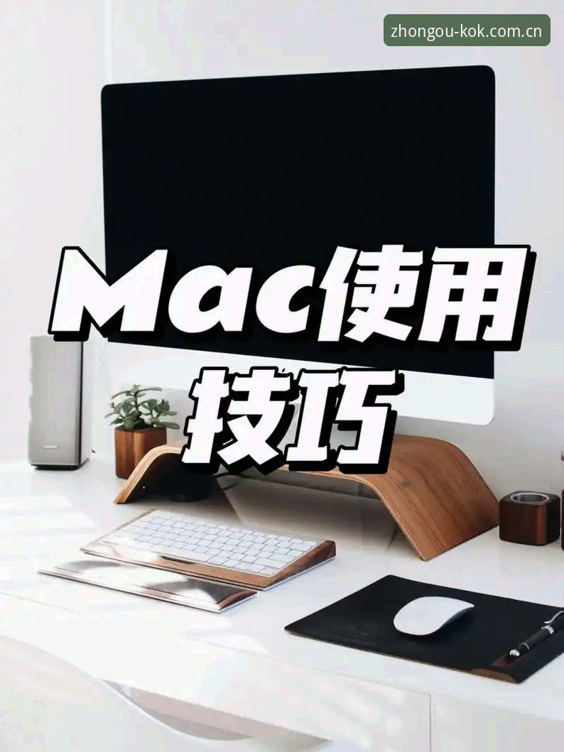 苹果用户必看：KOK苹果版推荐实用技巧与必备知识