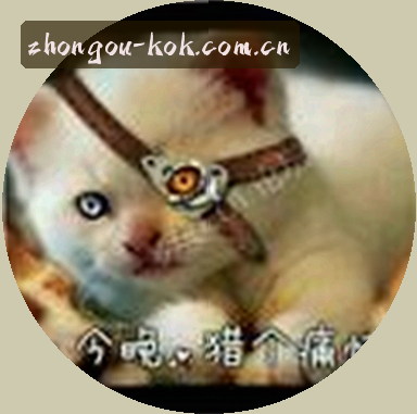 王磊
